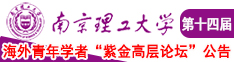 男人的小鸡鸡插进女人的眼里南京理工大学第十四届海外青年学者紫金论坛诚邀海内外英才！